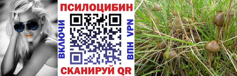 Псилоцибиновые грибы мицелий  Купить где  Лысьва 